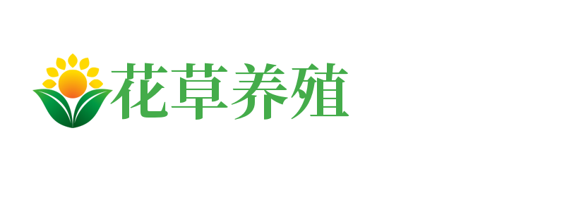 宠物用品|石家庄宠物用品|石家庄欧如伊尔宠物用品有限公司
